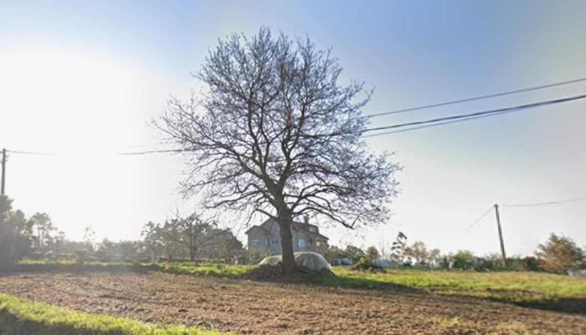 Lugar de Castro, en Miño