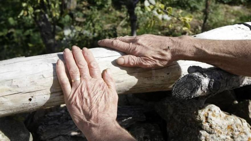 El Senado promete apoyar a la despoblada Serranía Celtibérica y sus 41 pueblos valencianos