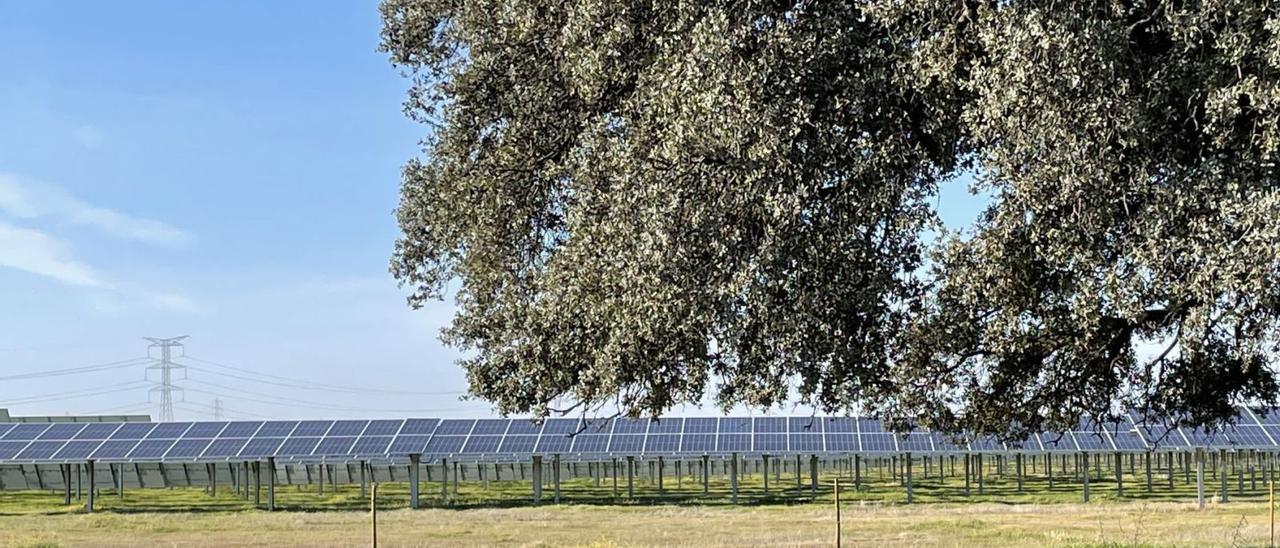 Planta fotovoltaica diseñada por Genia en Talayuela (Extremadura). | LEVANTE-EMV