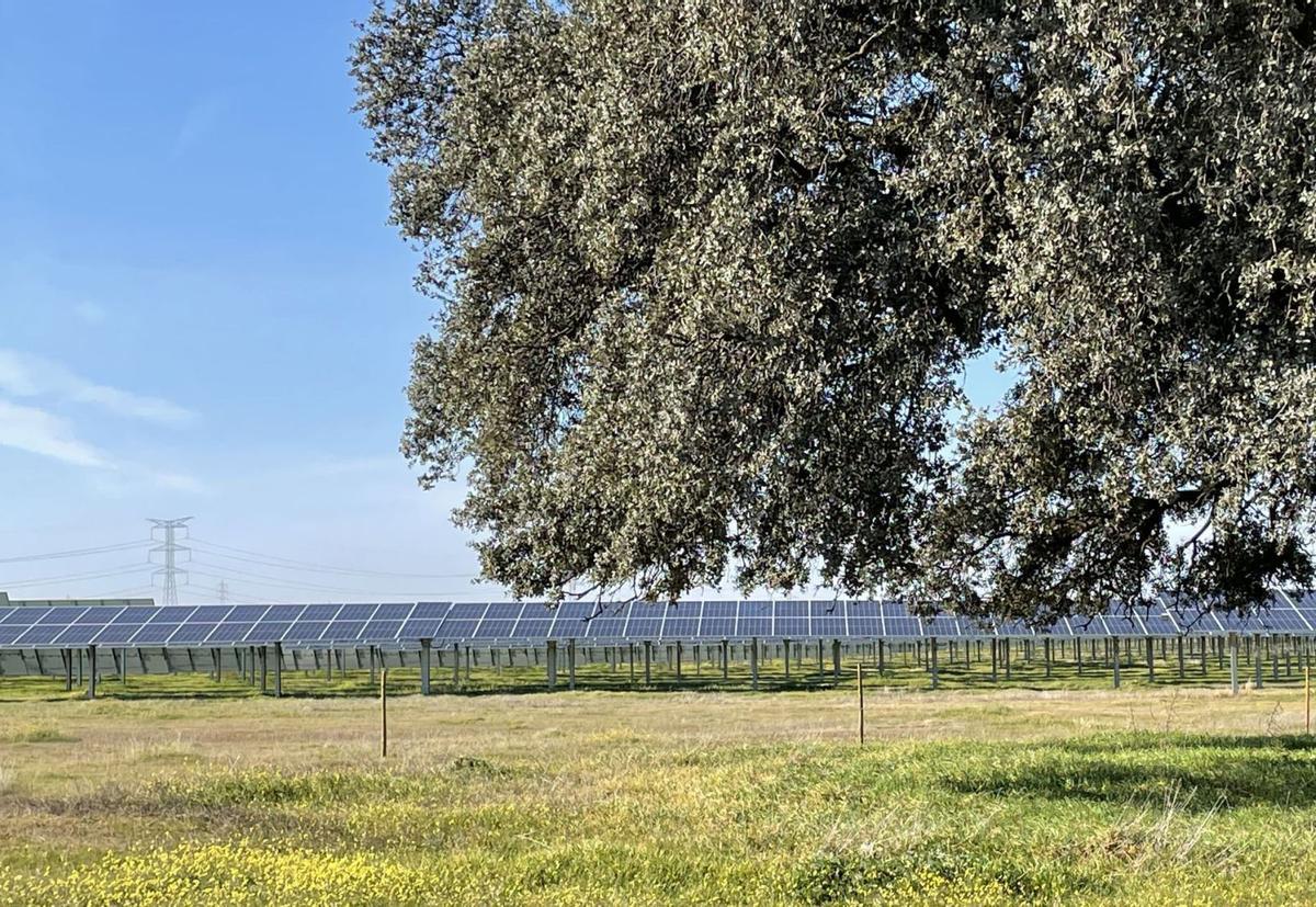 Planta fotovoltaica diseñada por Genia en Talayuela (Extremadura). | LEVANTE-EMV
