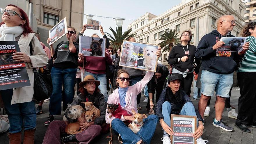 Tenerife Cabildo Responds to Adepac: Grant Approved but Documentation Pending