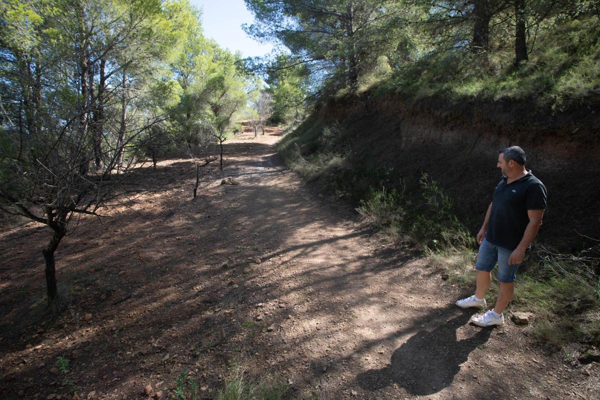 El alcalde en otra zona de monte.