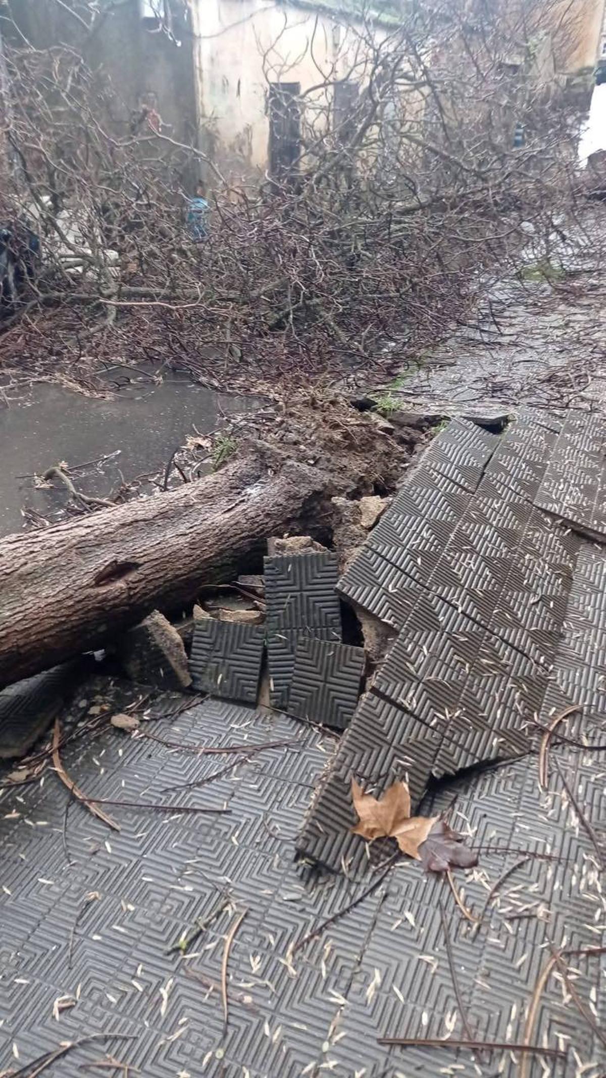 Fotogalería | Un tornado provoca numerosos destrozos en Plasencia Fotogalería | Un tornado provoca numerosos destrozos en Plasencia