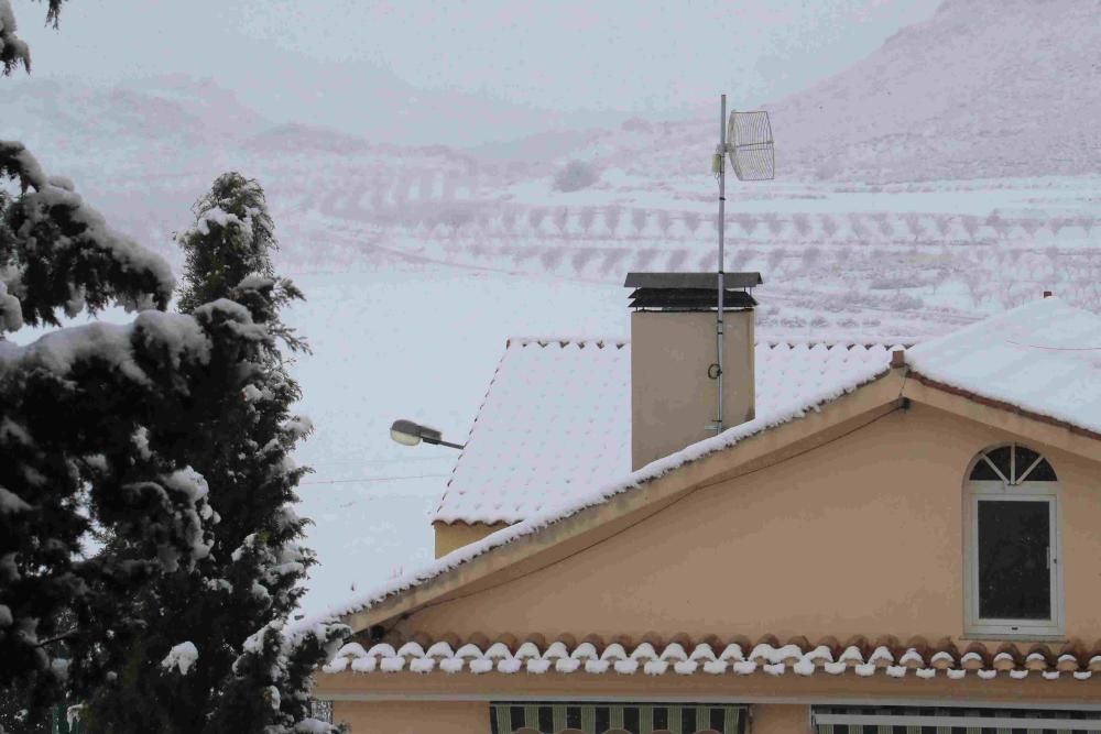 Nieve en Coy, Lorca