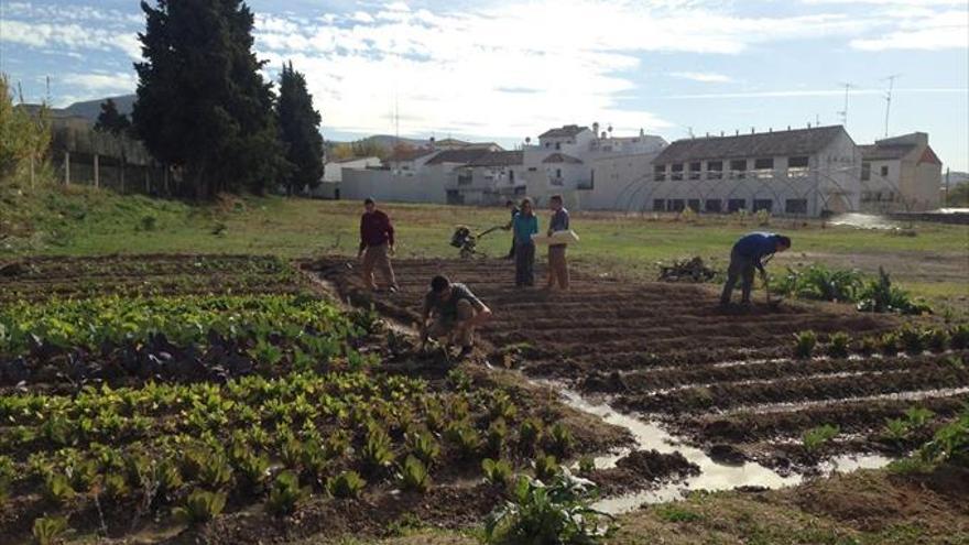 Producción agroecológica