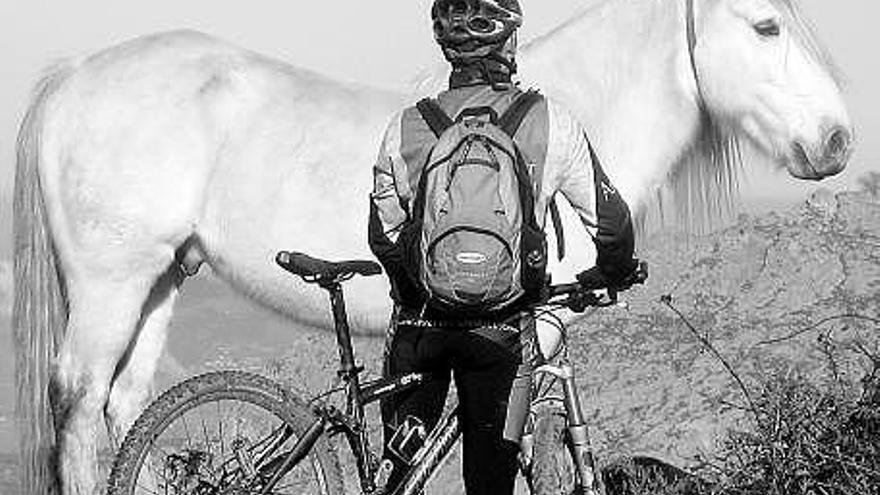 Un caballo, en mitad de la ruta por las cordales de Riosa y Morcín.