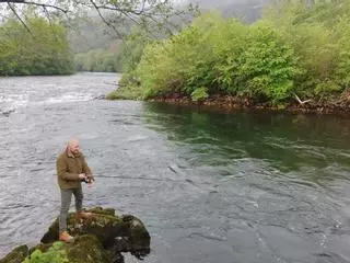Muchos pescadores y pocos salmones en el río Narcea a su paso por Salas: "Está difícil sacarlo, por no decir imposible"