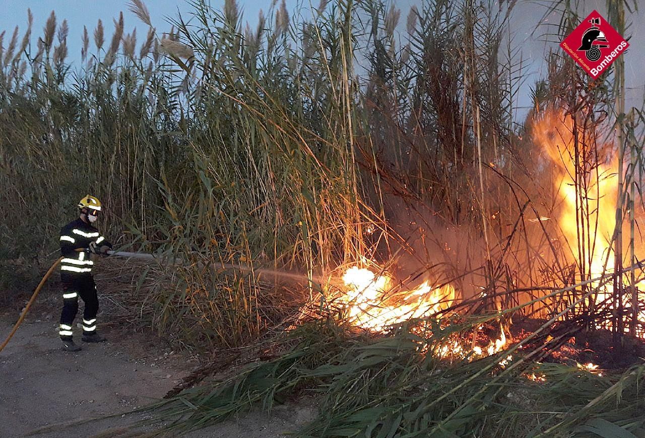 Los bomberos sofocan un incendio junto a la A-7 a la altura de Orihuela