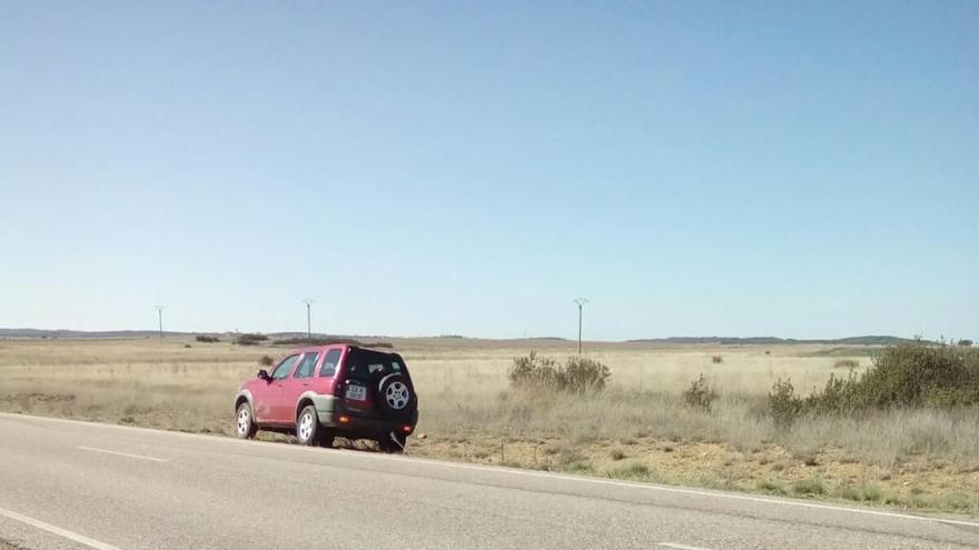 Dos manadas de jabalíes irrumpen en la carretera de Mahíde