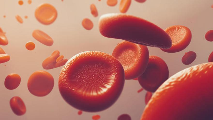Una imagen de glóbulos rojos.