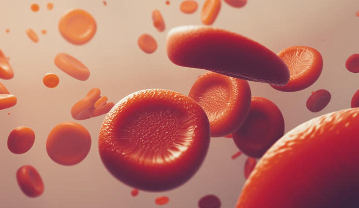 Una imagen de glóbulos rojos.