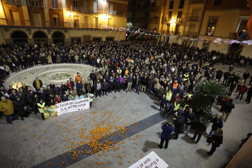 Protesta de citricultores en Castelló