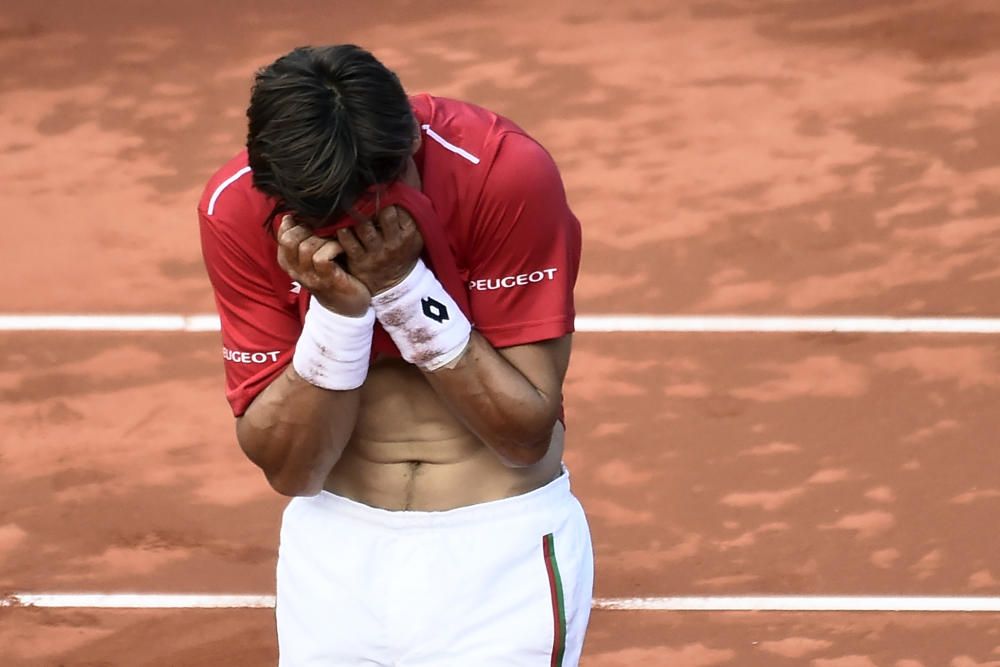 Copa Davis: David Ferrer - Philipp Kohlschreiber