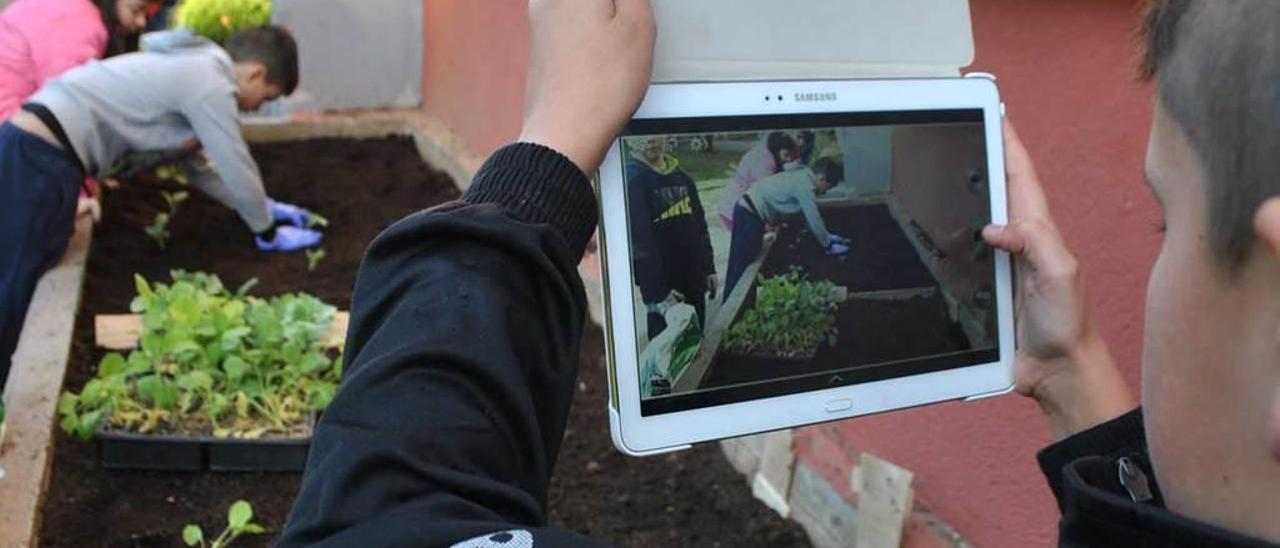 Gorka Barrera fotografía con la tableta la plantación.