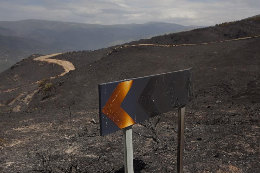 Incendio en los montes de León