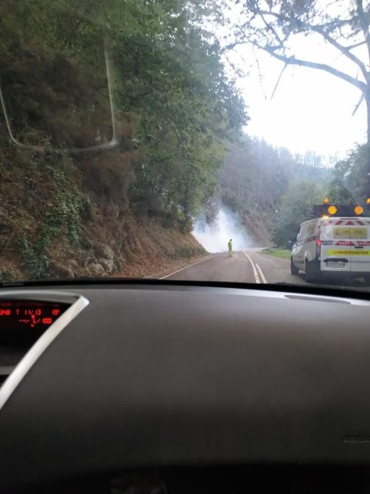 Alarma en Valdés por un incendio