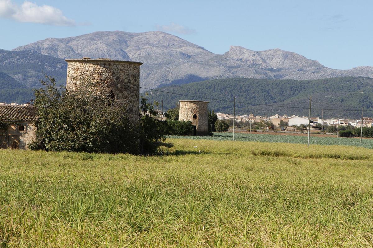 Landschaft bei Sa Pobla