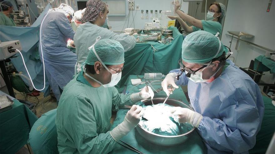 El hospital Reina Sofía lleva a cabo un 6% más de trasplantes hasta febrero