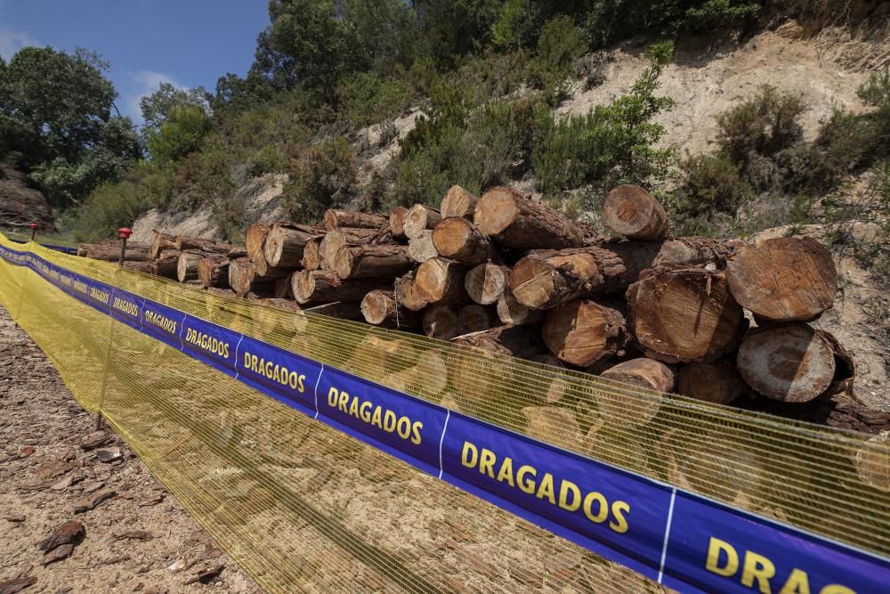 La plataforma Aturem la C-32 denuncia que la constructora segueix treballant