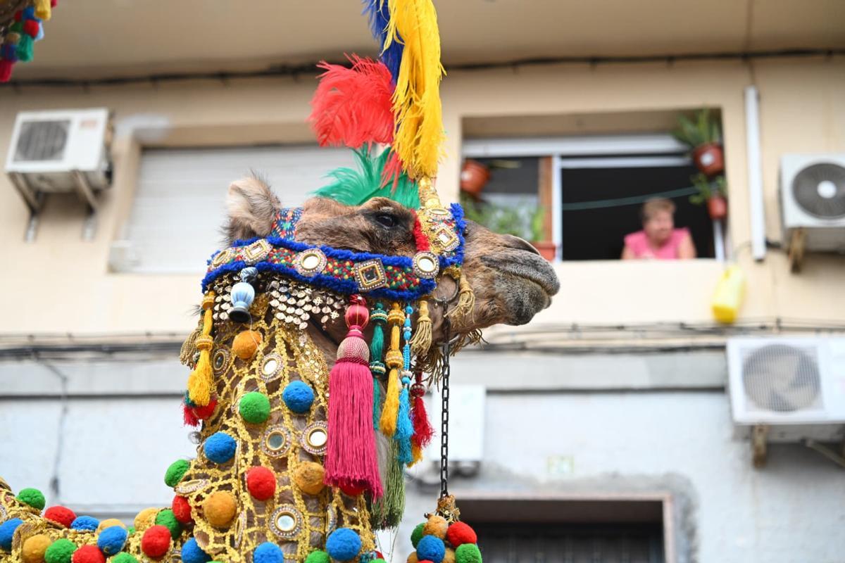 Las mejores imágenes de las Fiestas de Moros y Cristianos de San Blas: la Entrada Mora