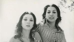 Las Grecas,  50 anys d’una revolució flamenca