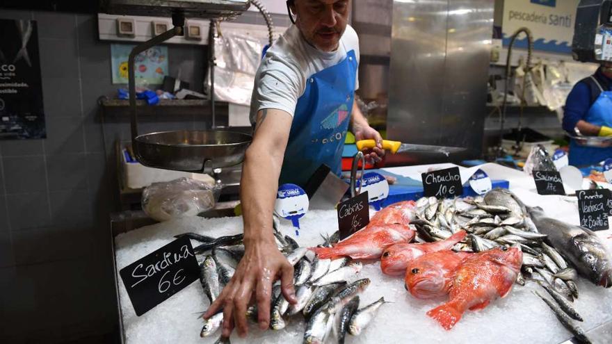 Tres pescados que ayudan a adelgazar, son recomendados por los médicos y que no comemos tanto como deberíamos