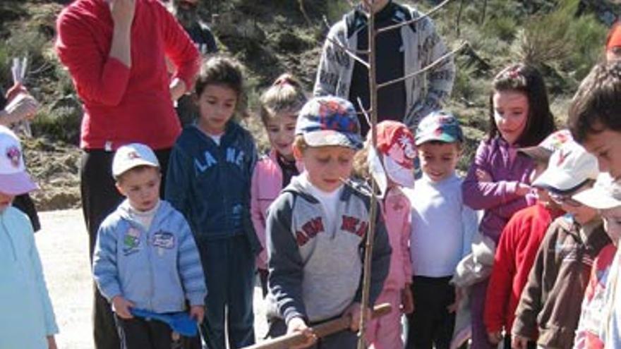 Los escolares de Guijo de Santa Bárbara plantan árboles en el paraje de Cerro Nuevo