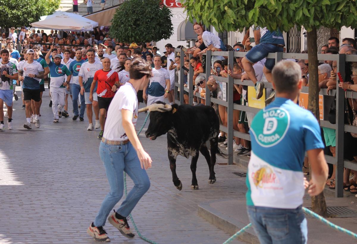 El toro de cuerda de Carcabuey, en imágenes