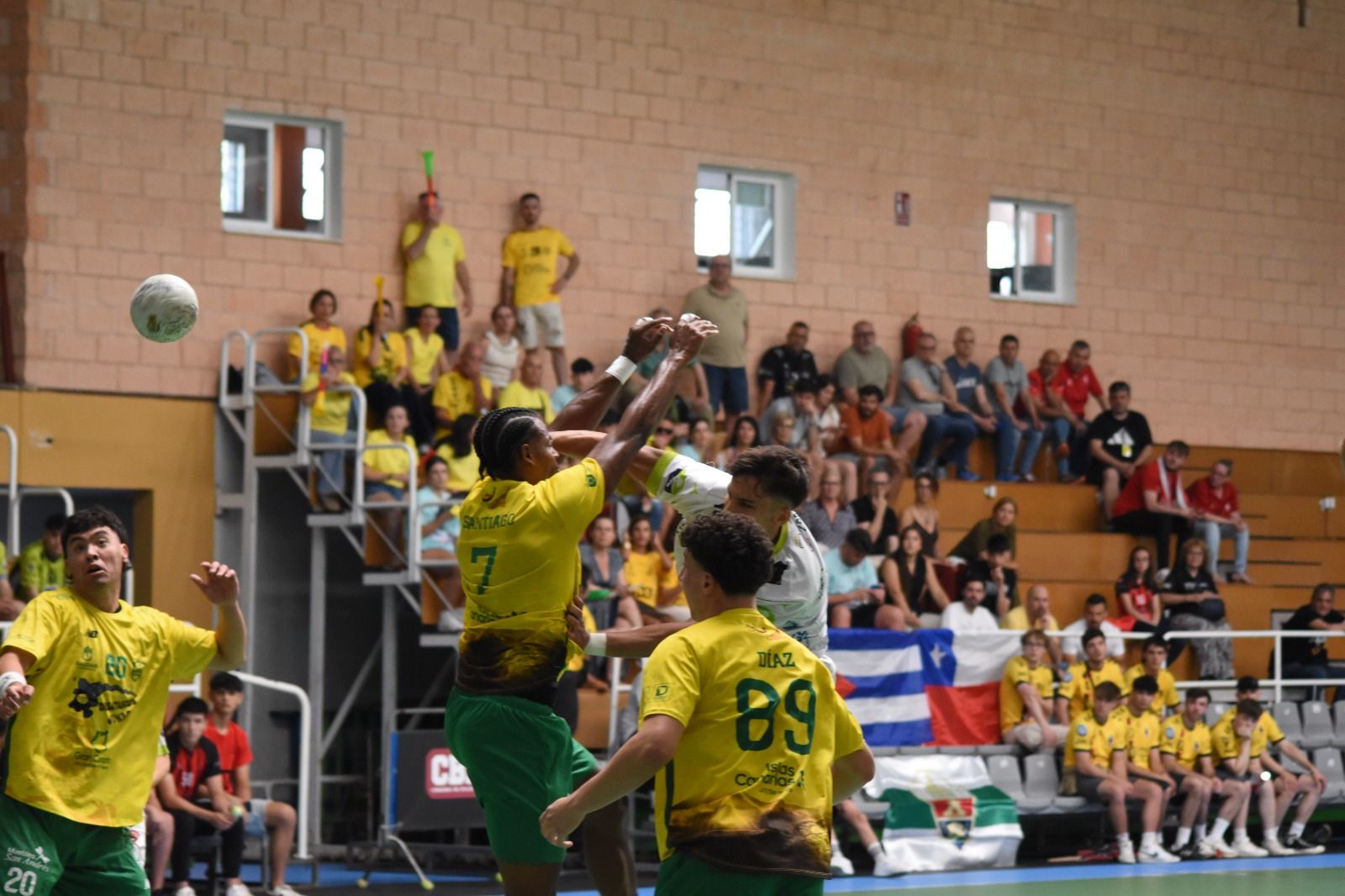 Balonmano Zamora