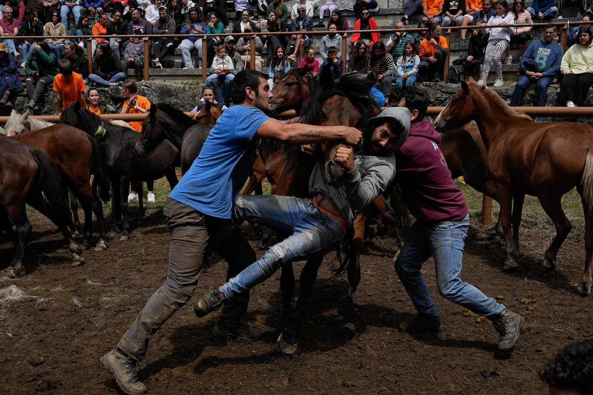 Un año más, los aloitadores hicieron gala de fuerza, habilidad y destreza.