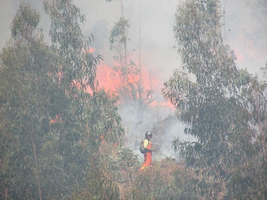 Incendio en la zona de Llanes