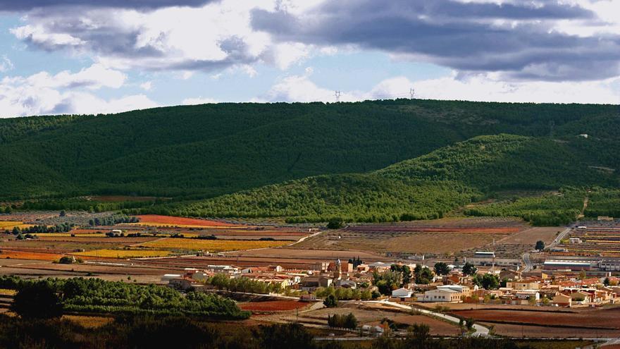 Terres dels Alforins, un paisaje de vinos