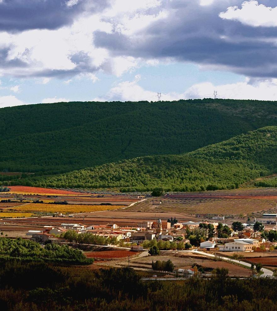 Terres dels Alforins, un paisaje de vinos