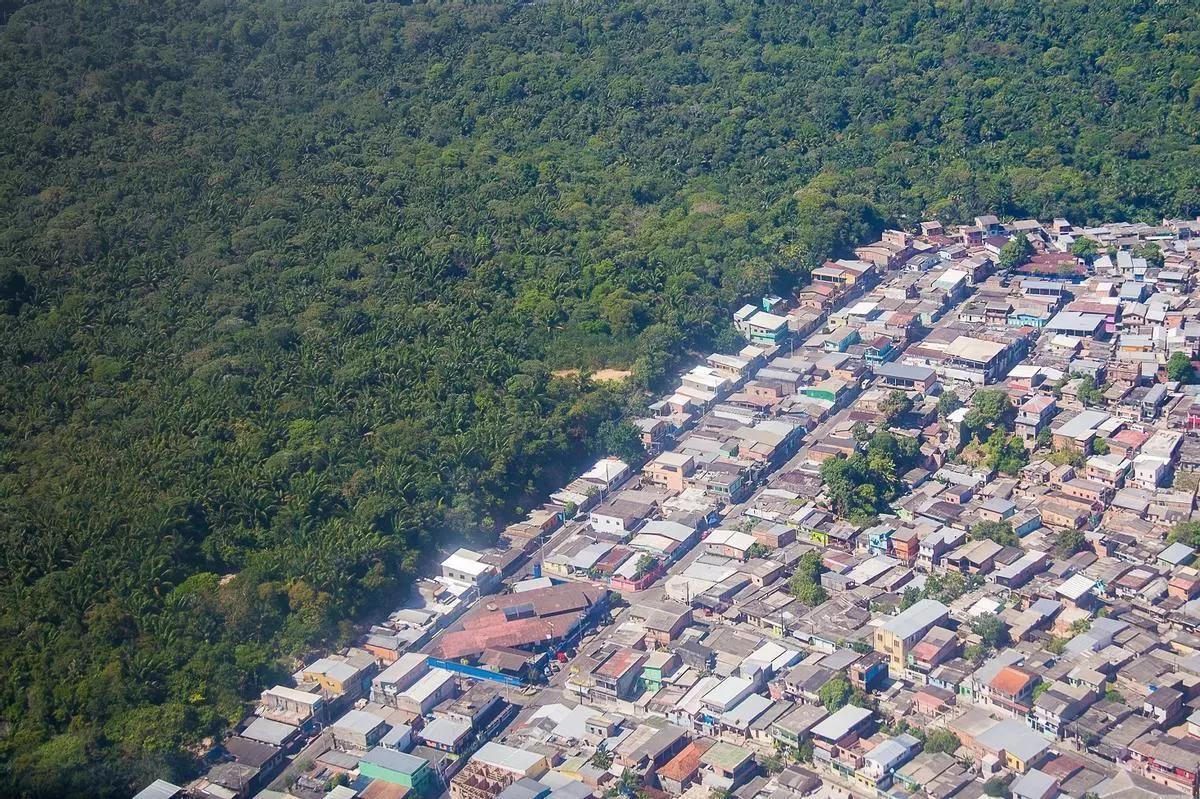 Urbanización 'comiéndose' el bosque amazónico.