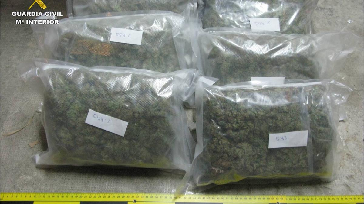 3 kilos de cogollos de marihuana envasados al vacío, incautados en Guardamar del Segura.