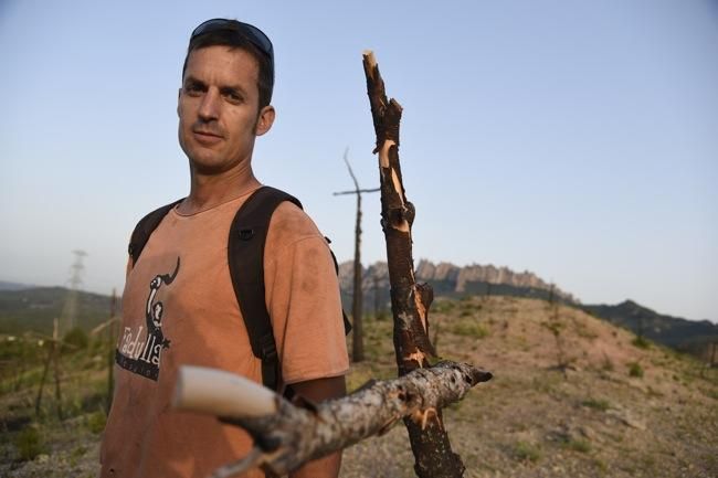 El bosc de les creus d'Òdena