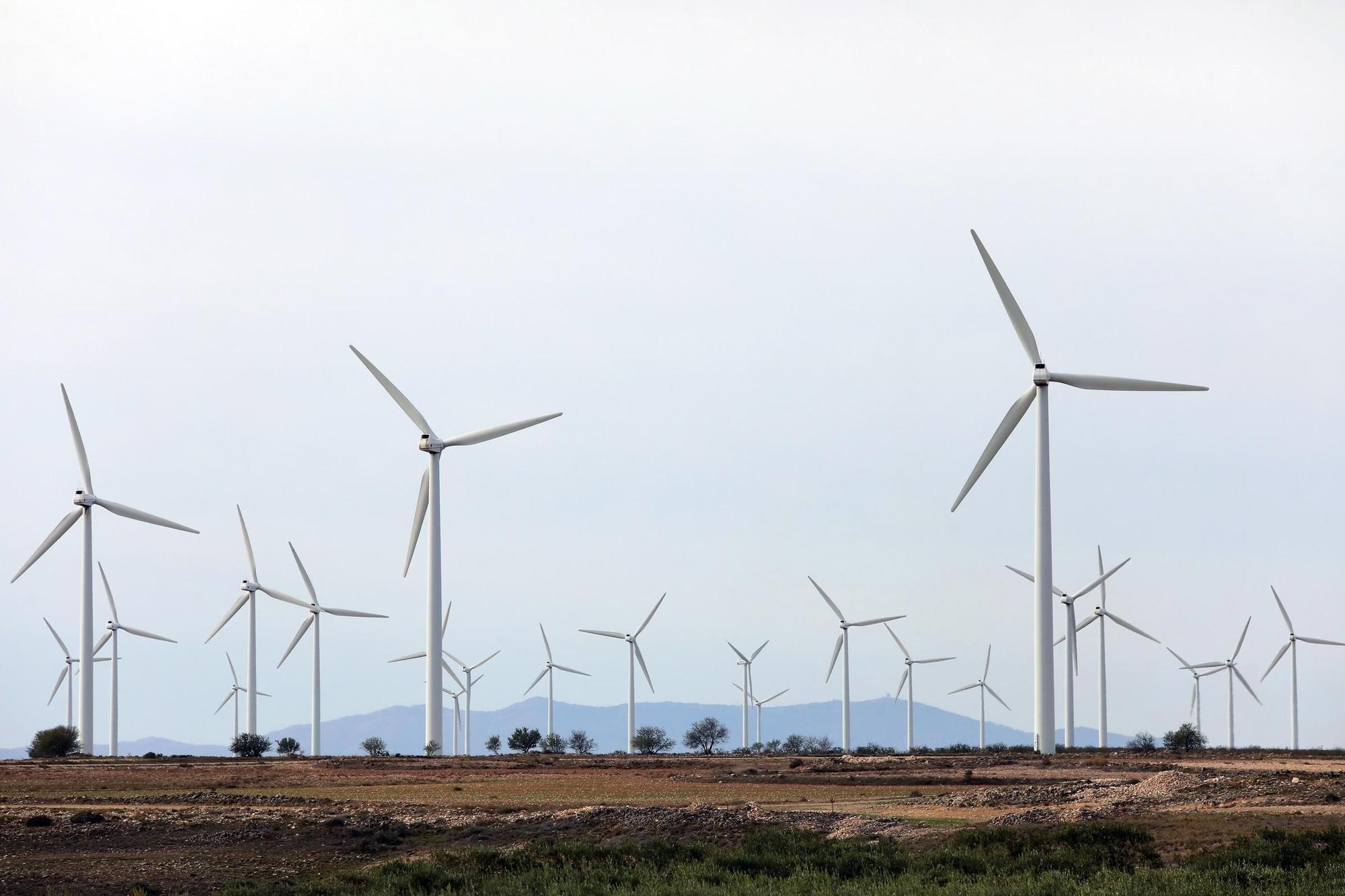 Adiós a los primeros molinos que revolucionaron La Muela