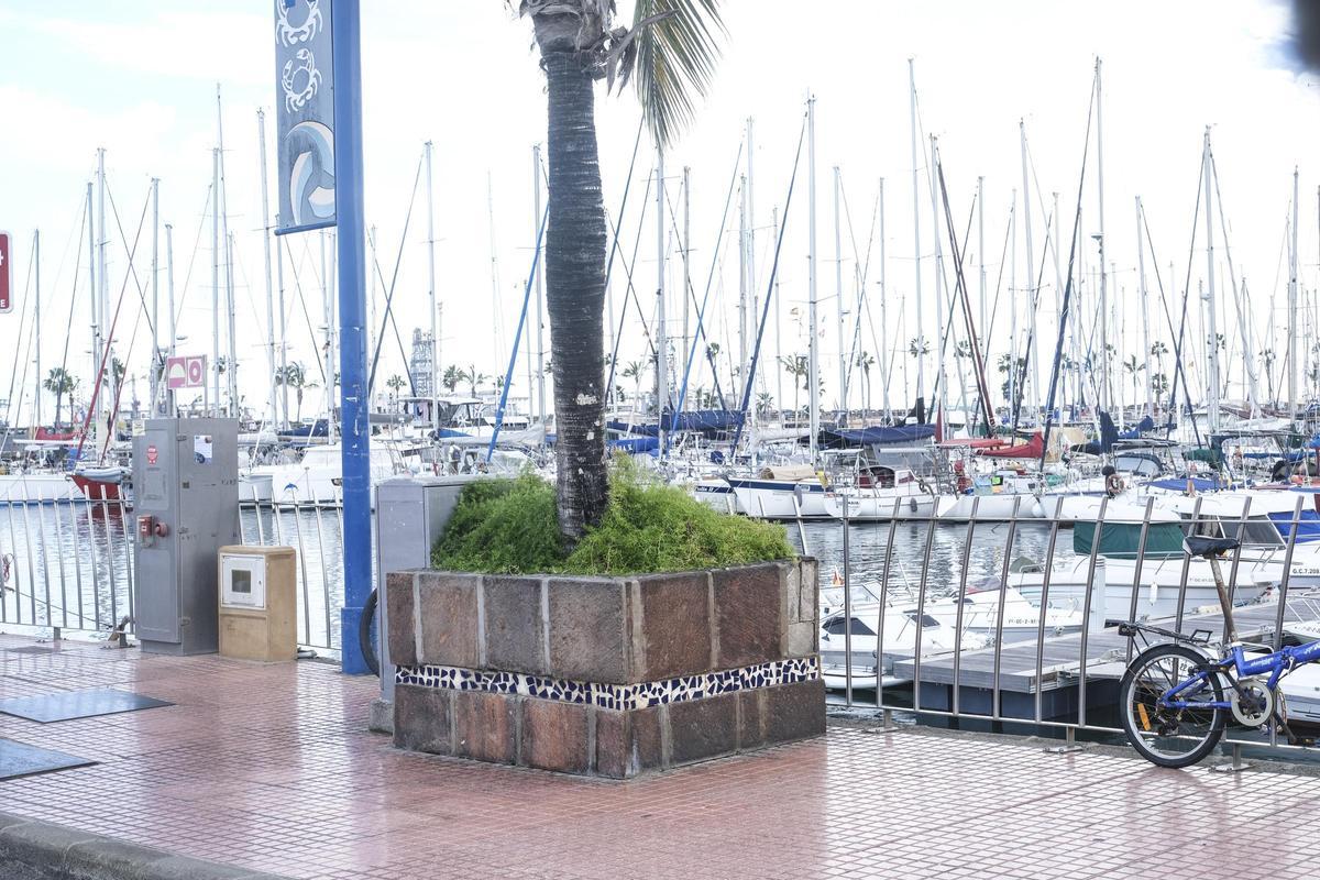 Uno de los alcorques que obstaculizan el paso en la acera del Muelle Deportivo