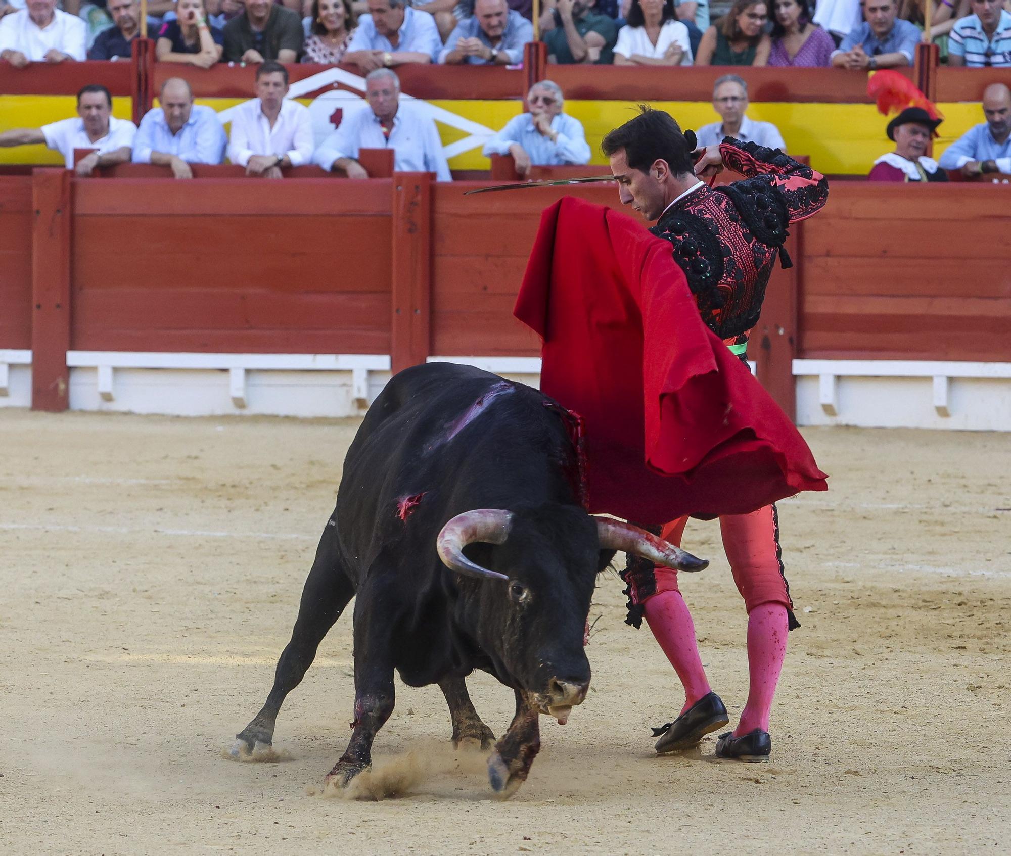 Novillada de Zacarías Moreno para cerrar la Feria de Hogueras