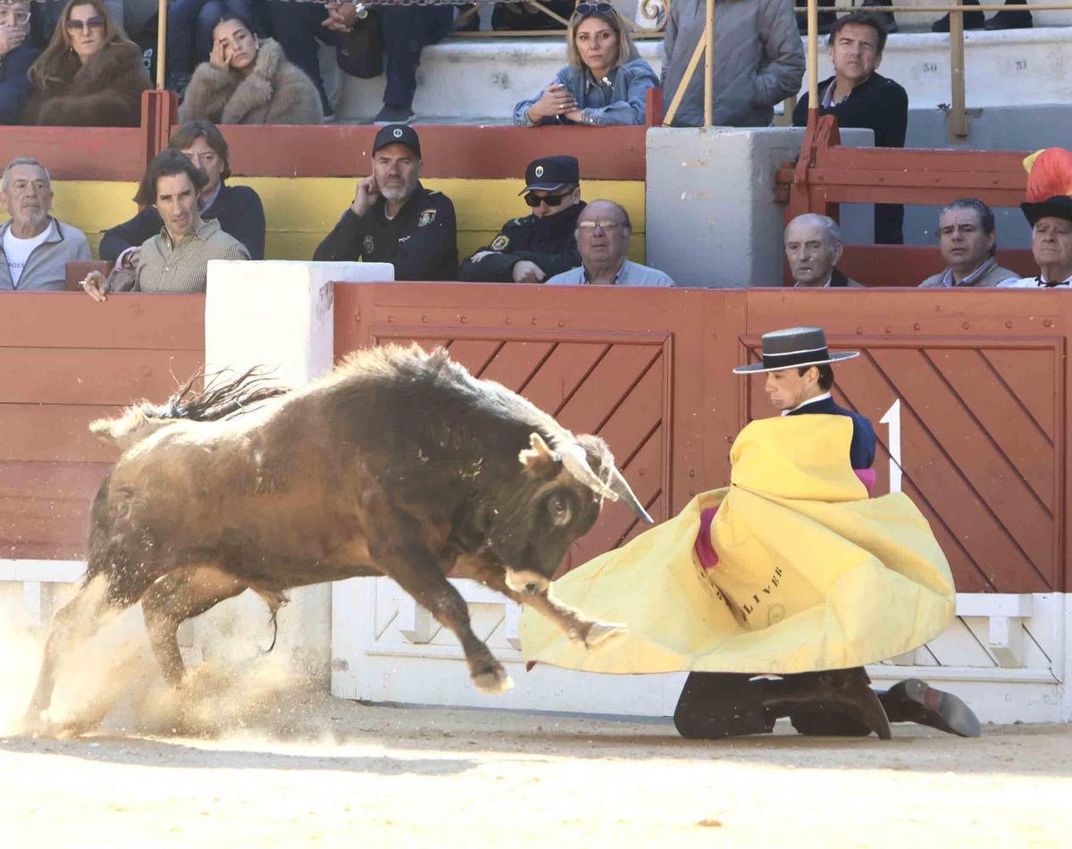 Éxito artístico en el V certamen José María Manzanares de Alicante