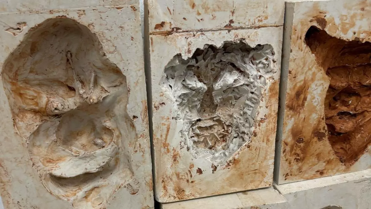 Así son las máscaras del Entierro de la Sardina del siglo XIX que desfilarán en marzo por Murcia