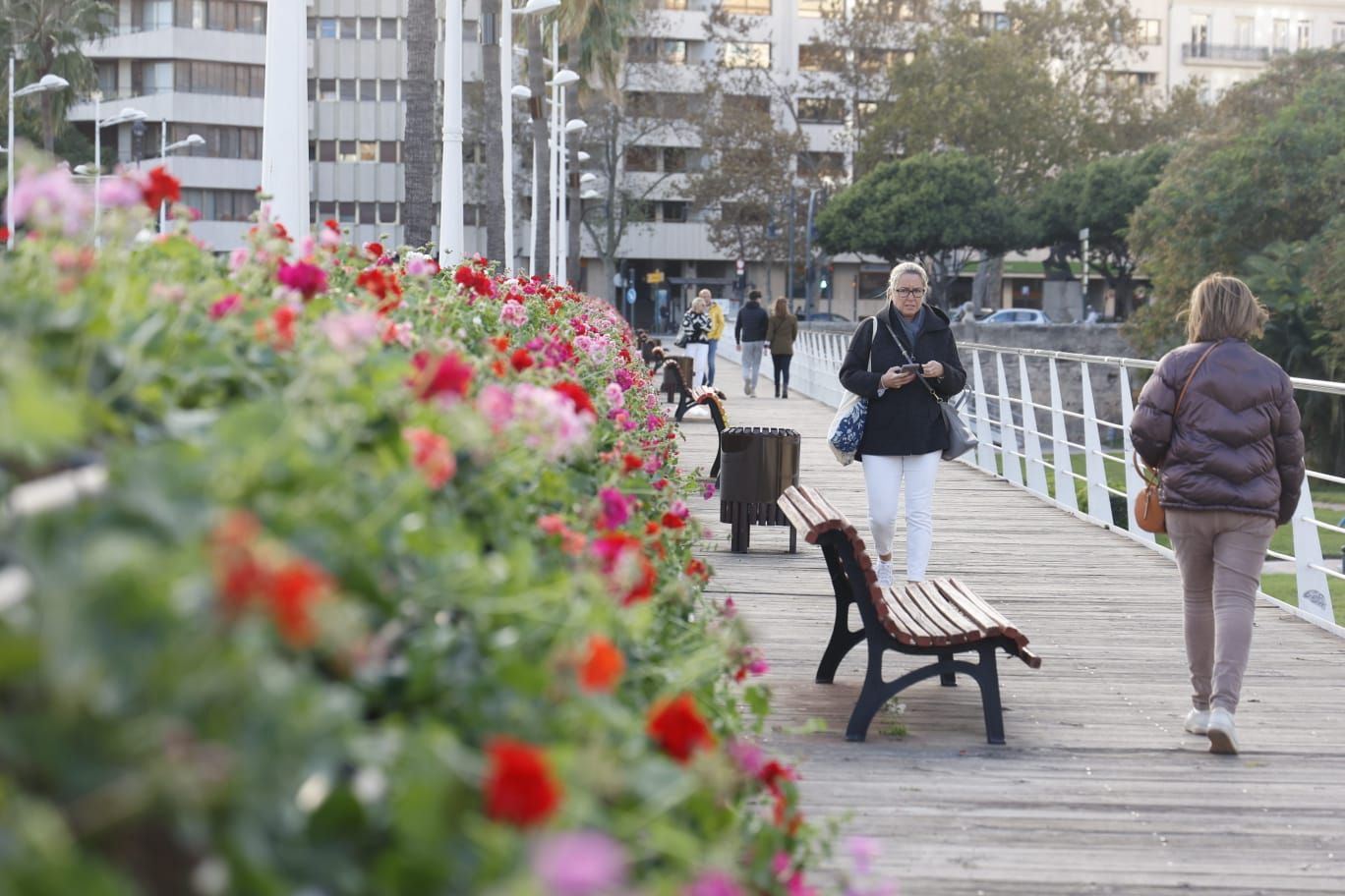 Comienzan a replantar el Puente de las Flores