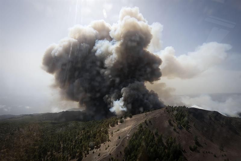 Incendio forestal en la zona de Montaña de Jedey