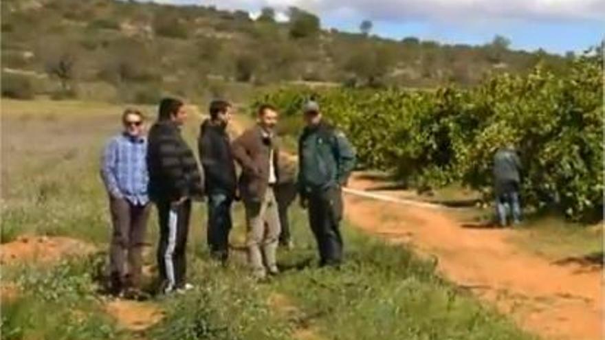 La Guardia Civil reconstruye con el testigo el crimen ocurrido en este campo de Cheste.