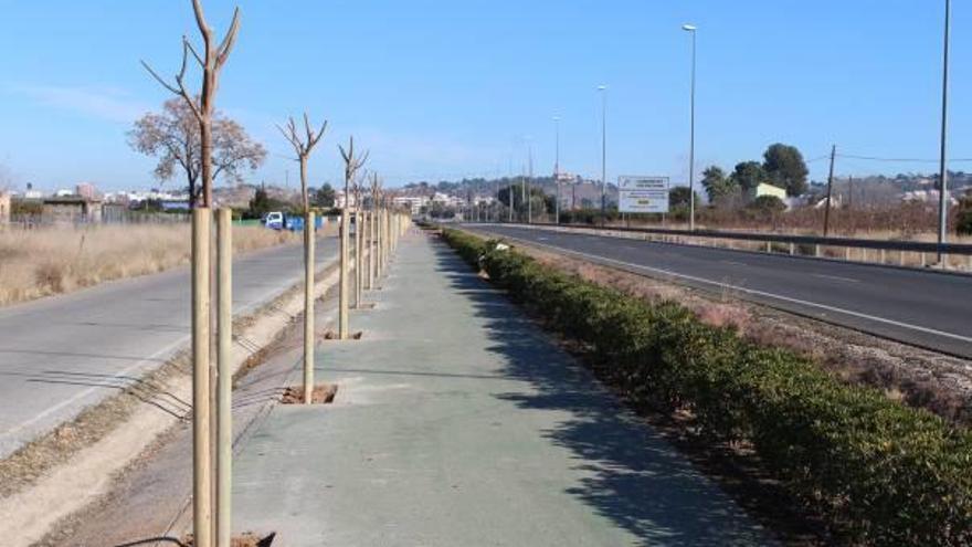 La conocida Ruta del Colesterol con los ejemplares de morera ya plantados.