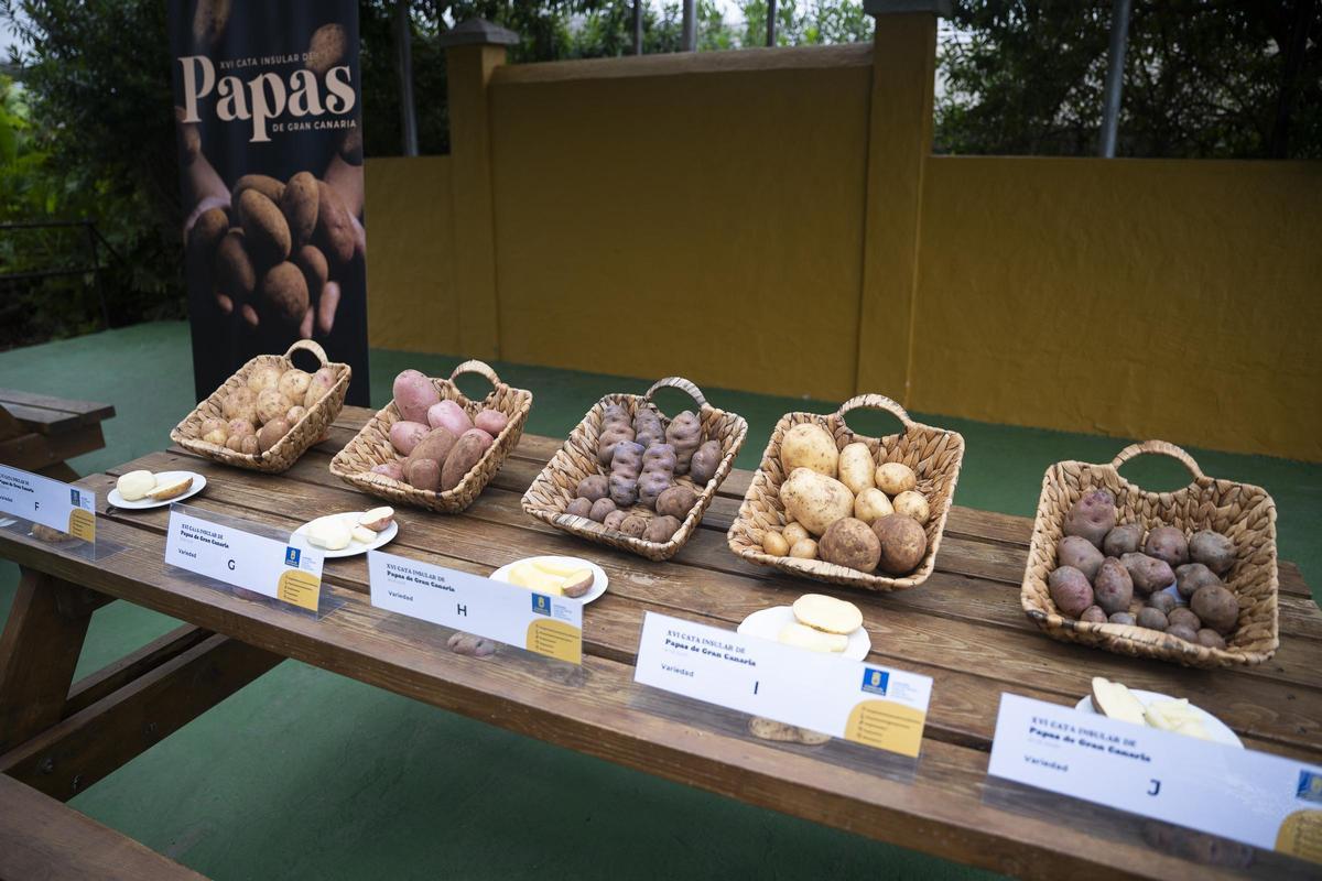 Una de las mesas de la feria de la cata de la papa.
