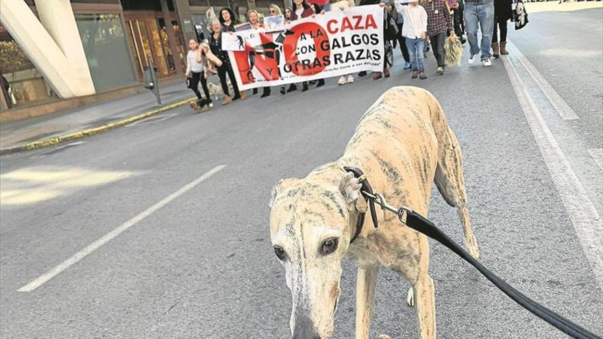 Cáceres y Badajoz se suman a la protesta nacional contra la caza