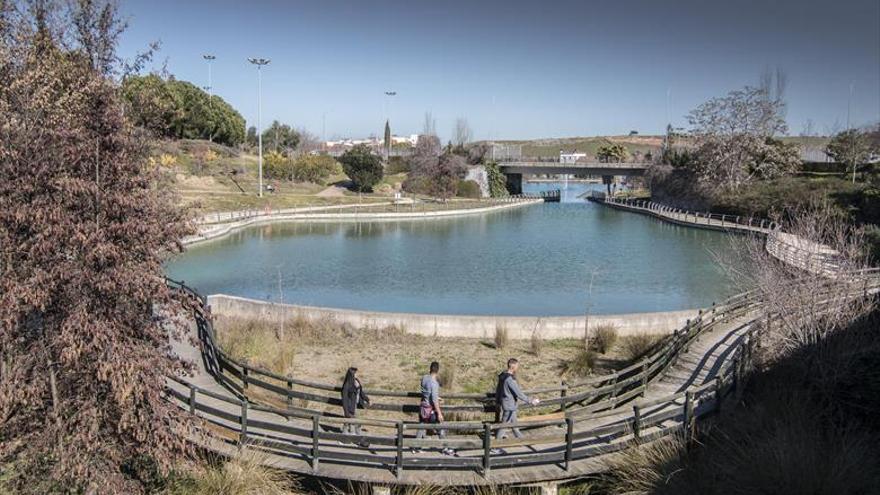 Condenada por arrancar 80 metros de romero en el parque del Rodeo