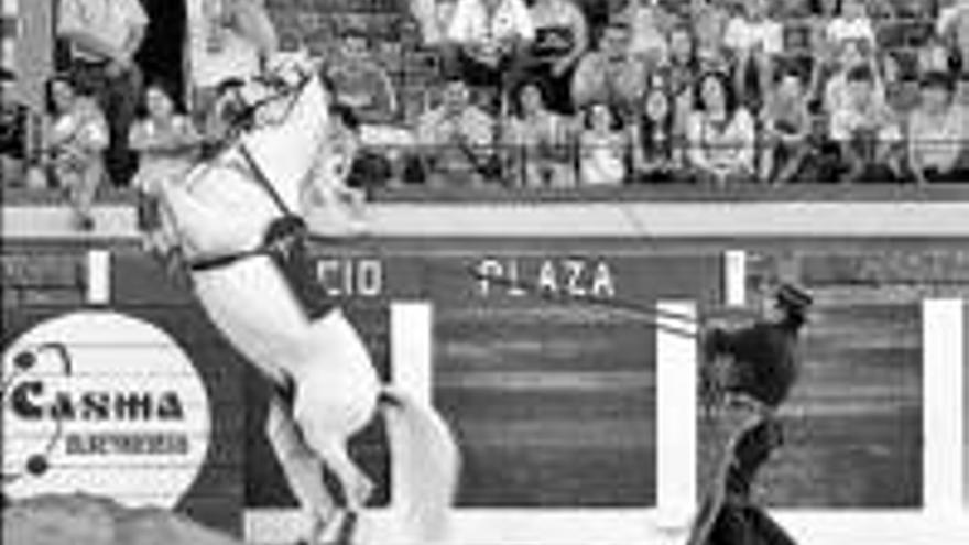 El espectaculo de cultura ecuestre llega a la plaza de toros de caceres