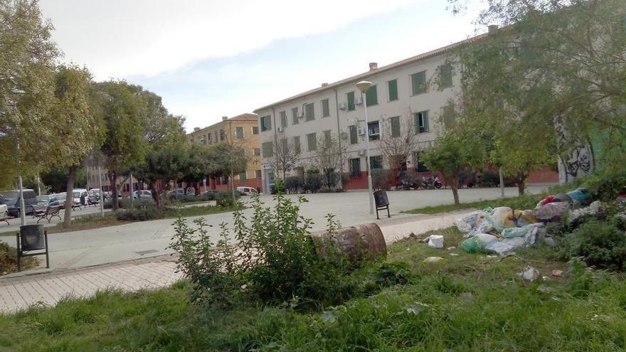 Este es el panorama que la pasada semana presentaba la plaza de la Paula, entre El Ejido y la Cruz Verde.